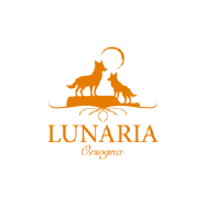 Logo 4