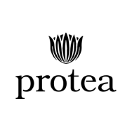 Protea